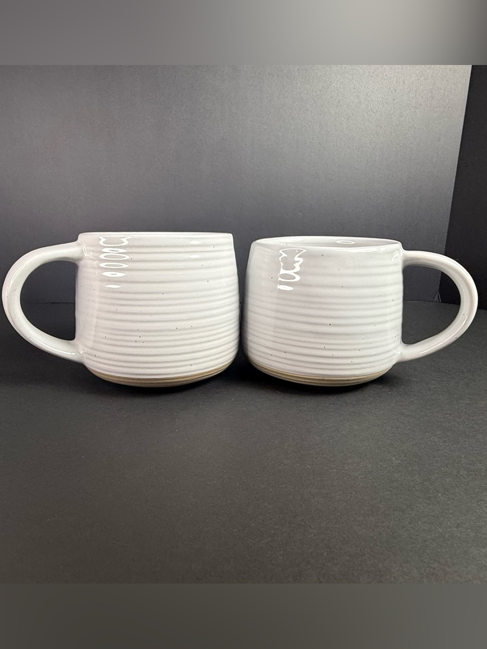 ☕️ Set Of 2 Better Homes and Gardens ABBOTT Ribbed Speckled Stoneware Mugs 16 oz
